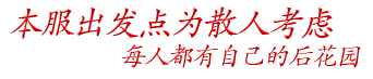 网页设计服务